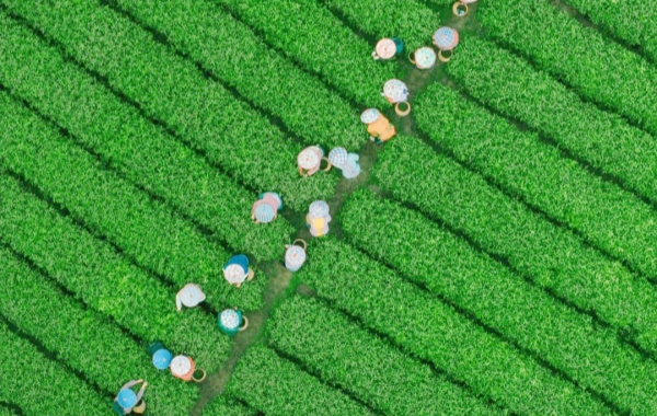 Giorno 5: Partenza di Hangzhou