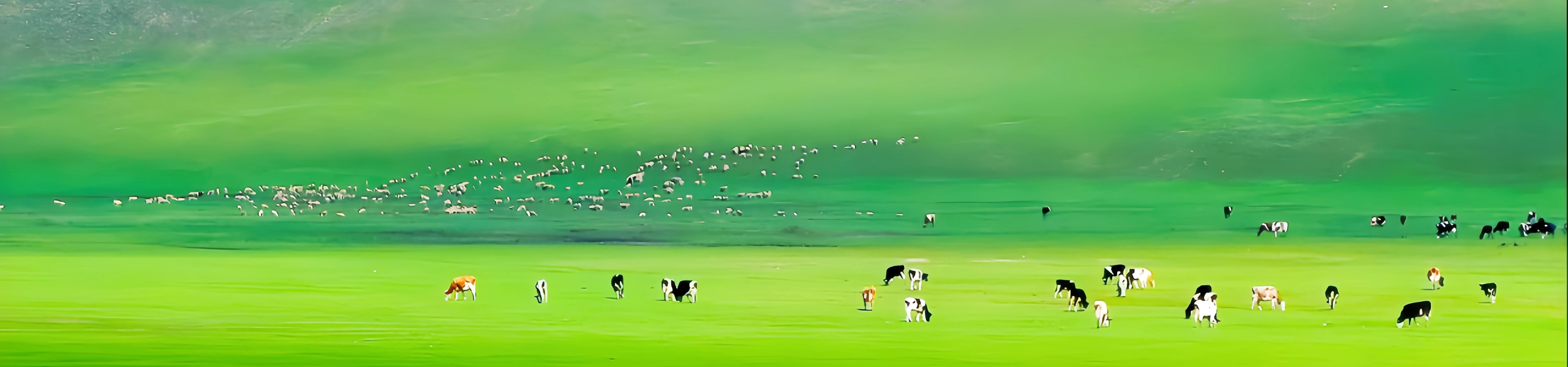 Taiyuan-Datong-Hohhot Guida turistica approfondita