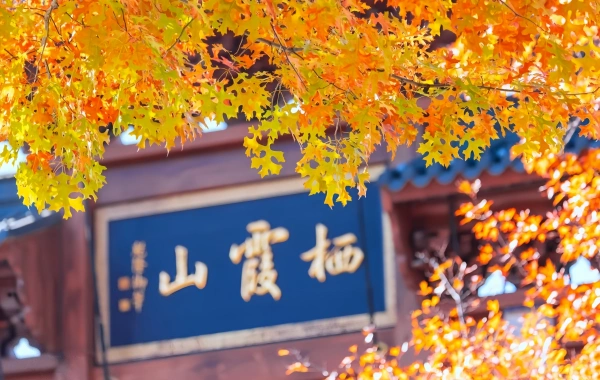 Día 1: Llegada Nanjing