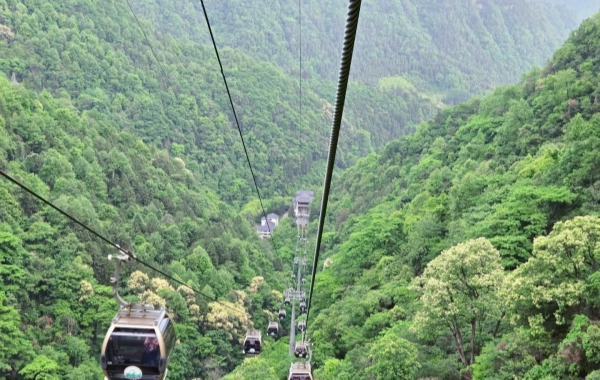 Day 3: Zhangjiajie National Forest Park